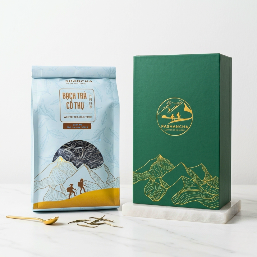 Bạch trà shan tuyết cổ thụ