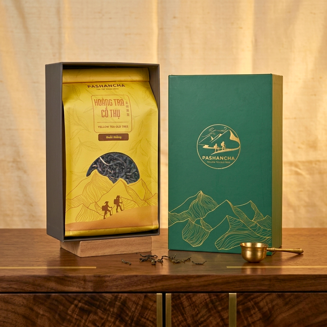 Hoàng trà shan tuyết cổ thụ